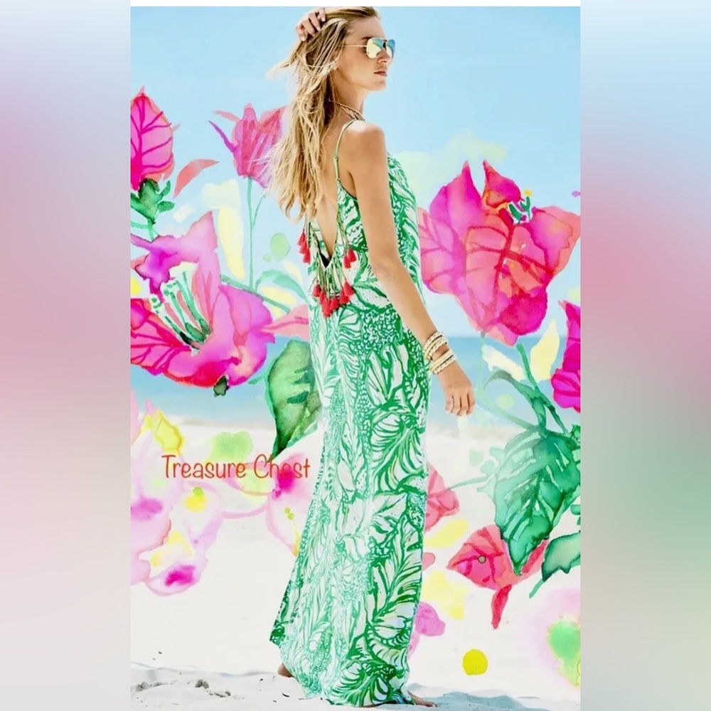 Lilly Pulitzer Allaire Maxi Beach Dress, Size Large, Worn Once
